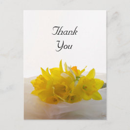 Cartão Postal Daffodils Amarelos no Casamento da primavera Branc