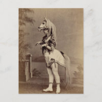 Daguerreotype/foto do traje do cavalo do Victorian