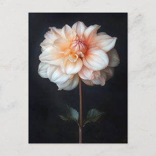 Cartão Postal Dahlia em Pintura Botânica Bloom