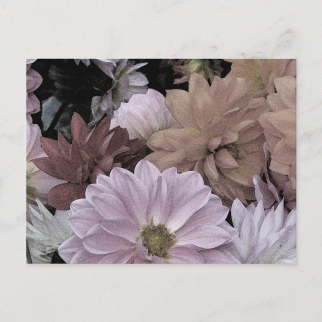 Cartão Postal Dahlia Garden Flowers Floral Abstrato Postcard (Frente)