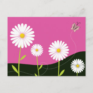 Cartão Postal Daisies!