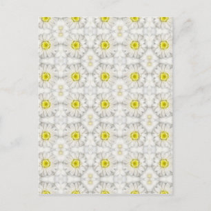 Cartão Postal Daisies