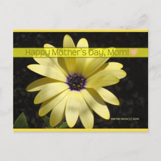 Cartão Postal Daisy2 no Dia de as mães | Cartão-postal Blue Beac
