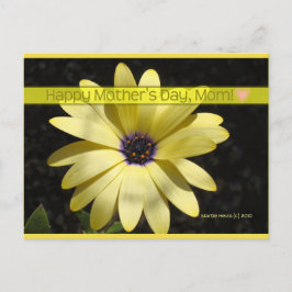 Cartão Postal Daisy2 no Dia de as mães | Cartão-postal Blue Beac