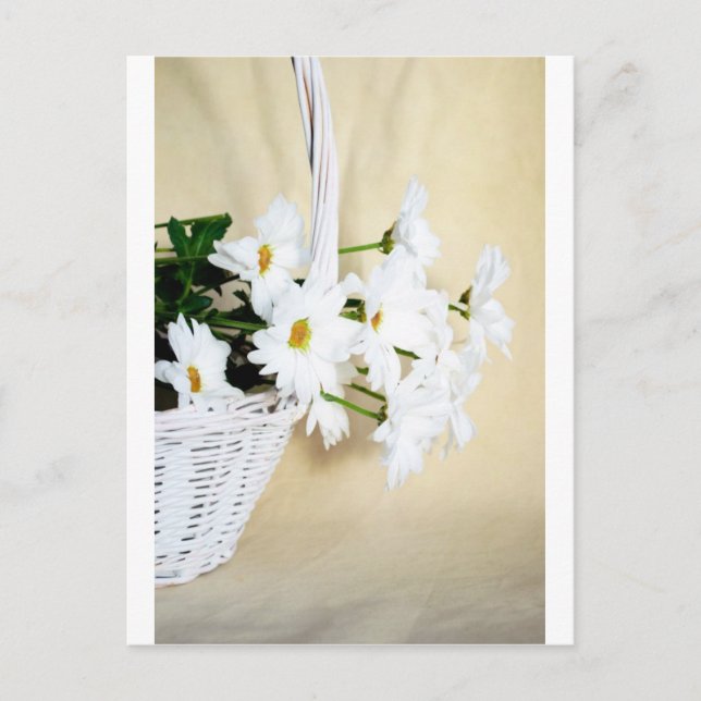 Cartão Postal Daisy Blossoms Flowers e Wicker Basket (Frente)