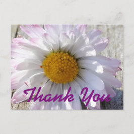 Cartão Postal Daisy Flower Obrigado