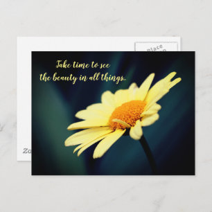 Cartão Postal Daisy Inspirational Apreciation Beauty 
