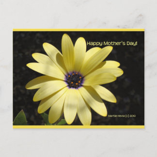 Cartão Postal Daisy On Dia de as mães | Cartão-postal Blue Beach