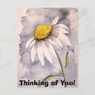 Cartão Postal Daisy, pensando em você!