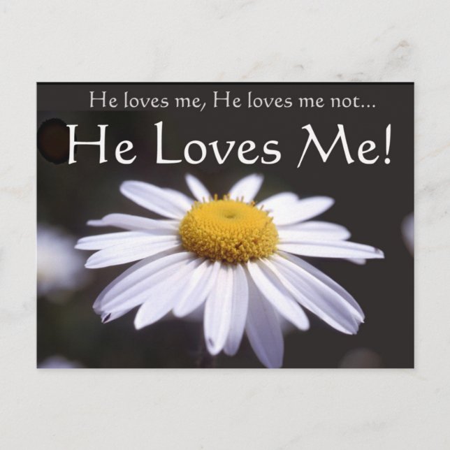 Cartão Postal Daisy sobre fundo negro (Frente)