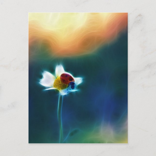 Cartão Postal Daisybug (Frente)