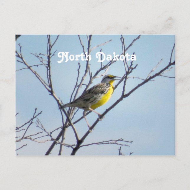 Cartão Postal Dakota do Norte (Frente)