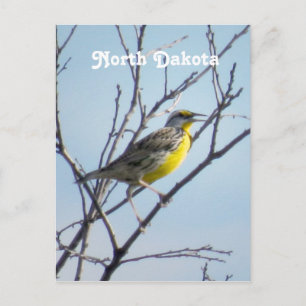 Cartão Postal Dakota do Norte