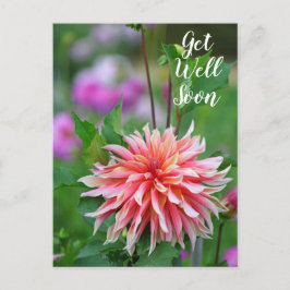 Cartão Postal Dália Laranja e Rosa Floresça Logo