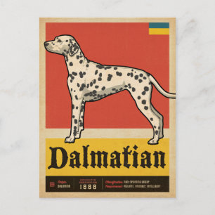 Cartão Postal Dalmação Clássica Vintage