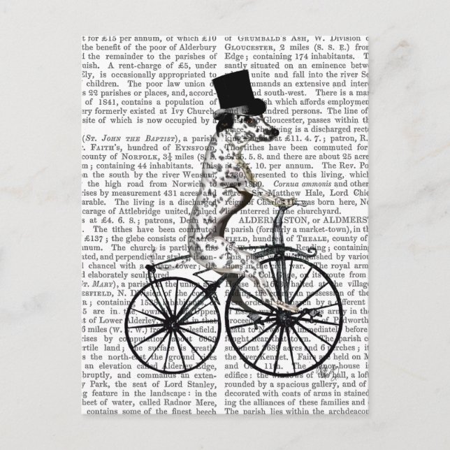 Cartão Postal Dalmácia no Bicicleta 2 (Frente)