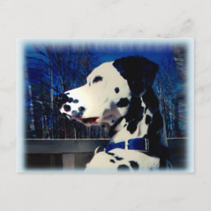 Cartão postal Dalmaciano "Kelso"