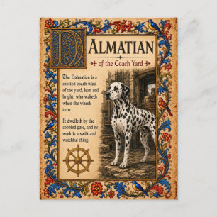 Cartão Postal Dálmata, Arte do Bestiário Medieval
