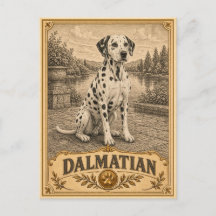 Dálmata, Cachorro Vintage Heritage