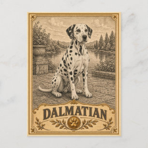 Cartão Postal Dálmata, Cachorro Vintage Heritage