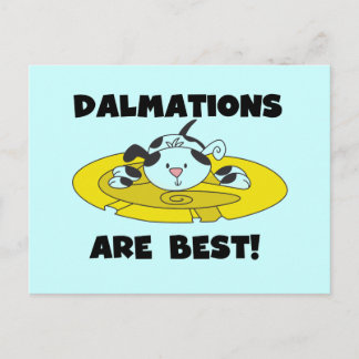 Cartão Postal Dalmations são as melhores t-shirts e presentes