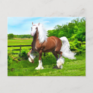 Cartão Postal "Dalton"