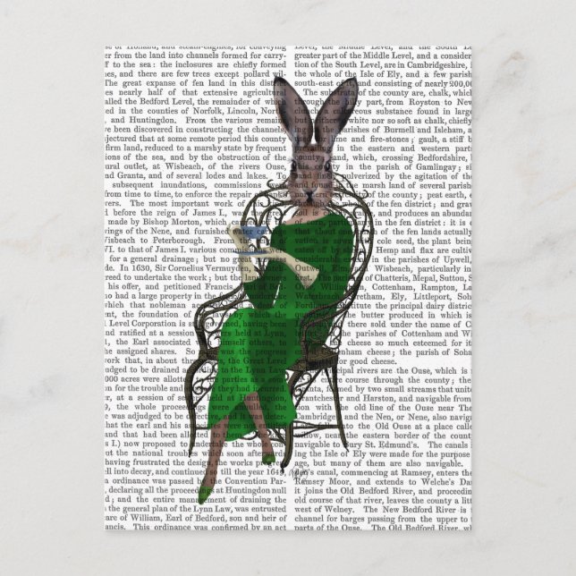 Cartão Postal Dama Bella Rabbit Tomando chá 2 (Frente)