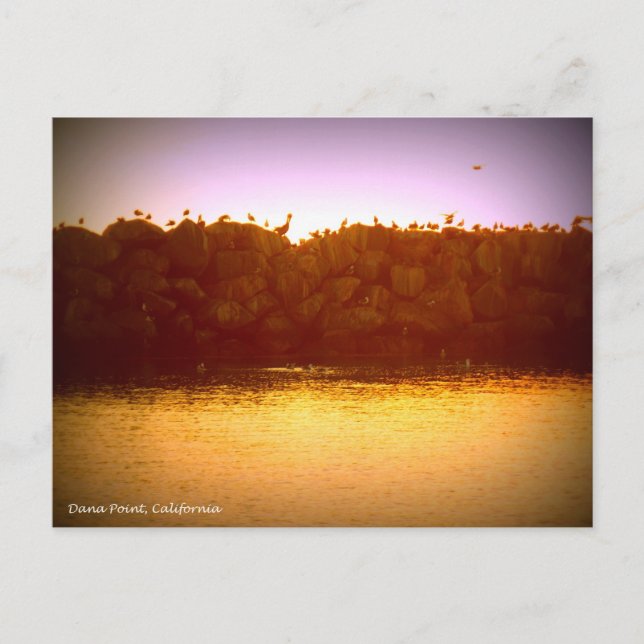 Cartão Postal Dana Point Sunset (Frente)