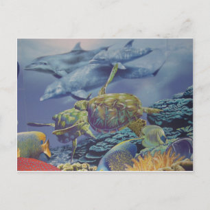 Cartão Postal Dança de golfinhos com peixes tropicais