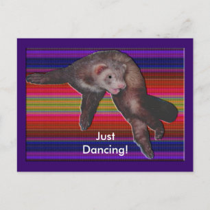 Cartão Postal Dançando Ferret