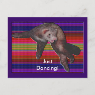 Cartão Postal Dançando Ferret
