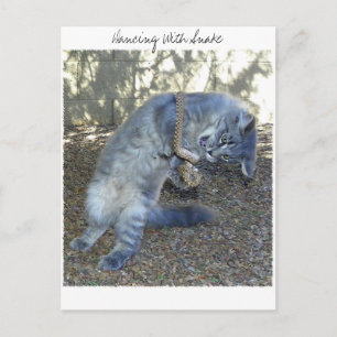 Cartão Postal Dançar com Cobra