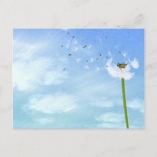 Cartão Postal Dandelion Blue Sky Nature Illustration