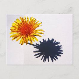 Cartão Postal Dandelion e Sombra pccnm