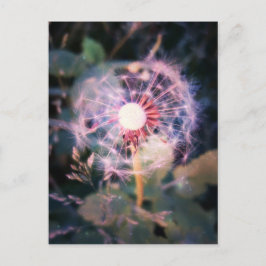 Cartão Postal Dandelion Magic