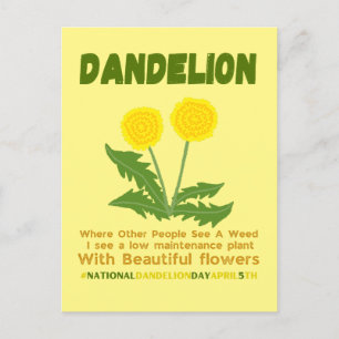 Cartão Postal Dandelion não é erva no meu jardim