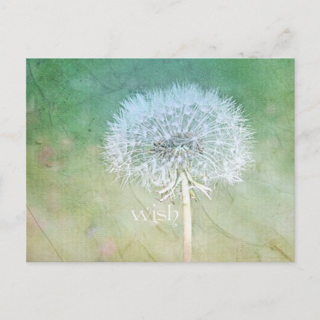 Cartão Postal Dandelion Wish Dreamy Design (Frente)