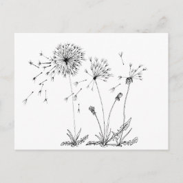 Cartão Postal Dandelions