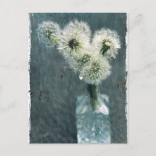 Cartão Postal Dandelions