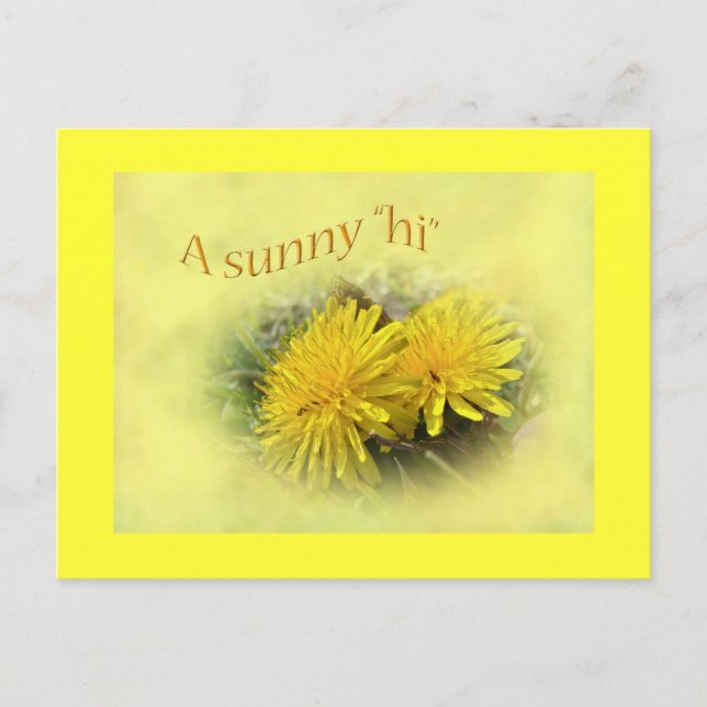 Cartão Postal Dandelions - Um Sunny Hi (Frente)