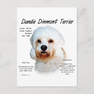 Cartão Postal Dandie Dinmont Terrier History Design