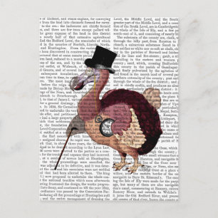 Cartão Postal Dapper Dodo