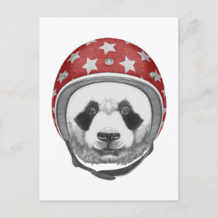 Cartão Postal Daredevil Panda