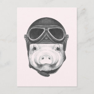 Cartão Postal Daredevil Pig