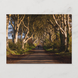 Cartão Postal Dark Hedge Ireland