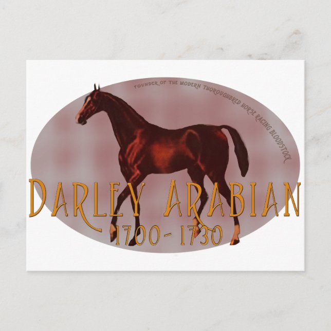 Cartão Postal Darley Arabian (Frente)