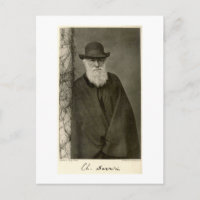 Darwin ao lado de um pilar, publicado em 1908
