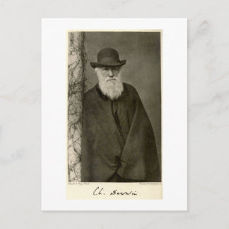 Cartão Postal Darwin ao lado de um pilar, publicado em 1908