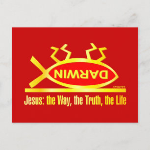 Cartão Postal Darwin é Morto