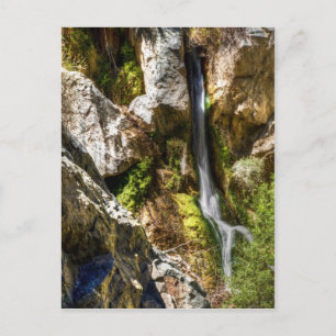 Cartão Postal Darwin Falls